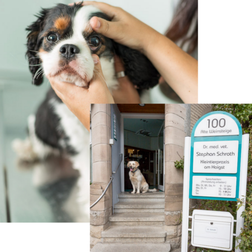 Die Kleintierpraxis am Haigst